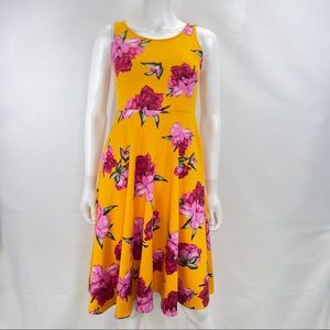 Agnes & Dora Angelou Skater Fit & Flare Dress Spring Floral XXS NWT